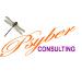 New Business Psyber Consulting Services Created