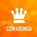 New Business Cowabunga Contract Cleaning Services Created