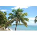 Click to view full size. Accommodation and Holiday