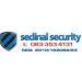 New Business Sedinal Security Solutions Created