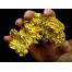 LOOKING FOR GOLD INVESTORS AND BUYERS  +27732556584 INTERNATIONAL.  