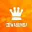Cowabunga Contract Cleaning Services