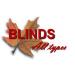 New Business Blinds All Types Created