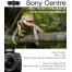 Wildlife Photography at Sony