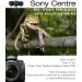 Wildlife Photography at Sony created